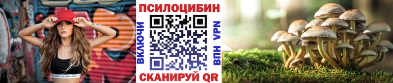 Псилоцибиновые грибы Psilocybine cubensis  Шацк 